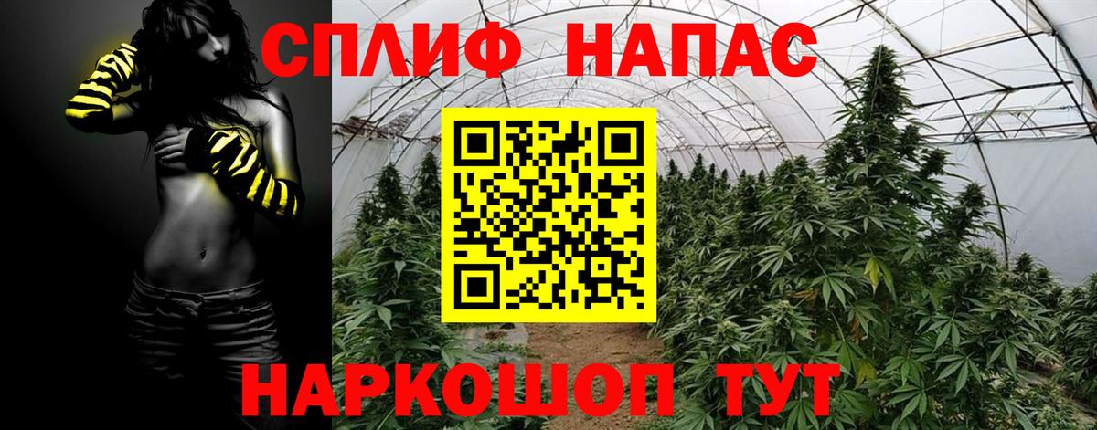Конопля SATIVA & INDICA Луховицы